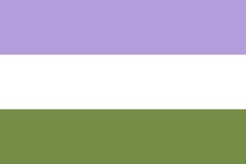 Genderqueer Pride Flag