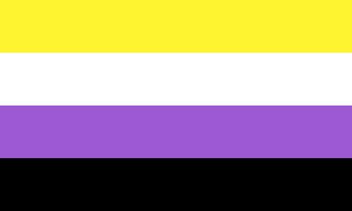 Non-binary pride flag