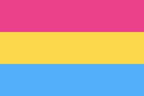 Pansexual Pride Flag